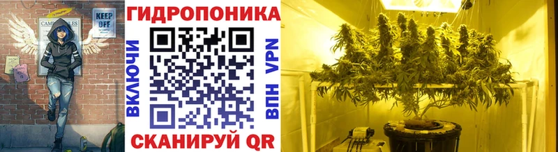 Шишки марихуана план  Купить где  Белозерск 